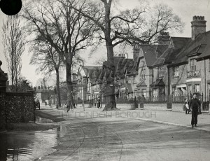 Elm Terrace, Orpington, Orpington early 20th C