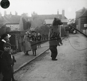 Performing Bear on Anglelea Road, St Mary Cray c.1900?