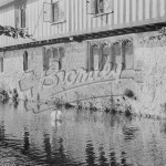 Ightham Mote, the moat with swan, Ivy Hatch, nr Sevenoaks nd