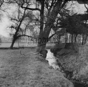 Cator Park, Beckenham 1961