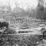 Sandhills, Kelsey Lane, Beckenham 1956