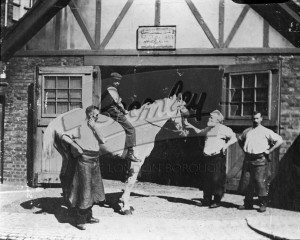 Forge, Beckenham, Beckenham