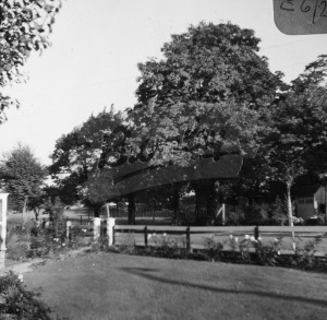 Crease Park, Beckenham 1968