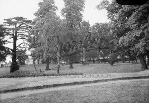 Crease Park, Beckenham 1952