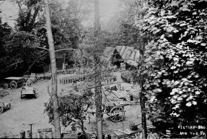 Rectory Paddock, Beckenham