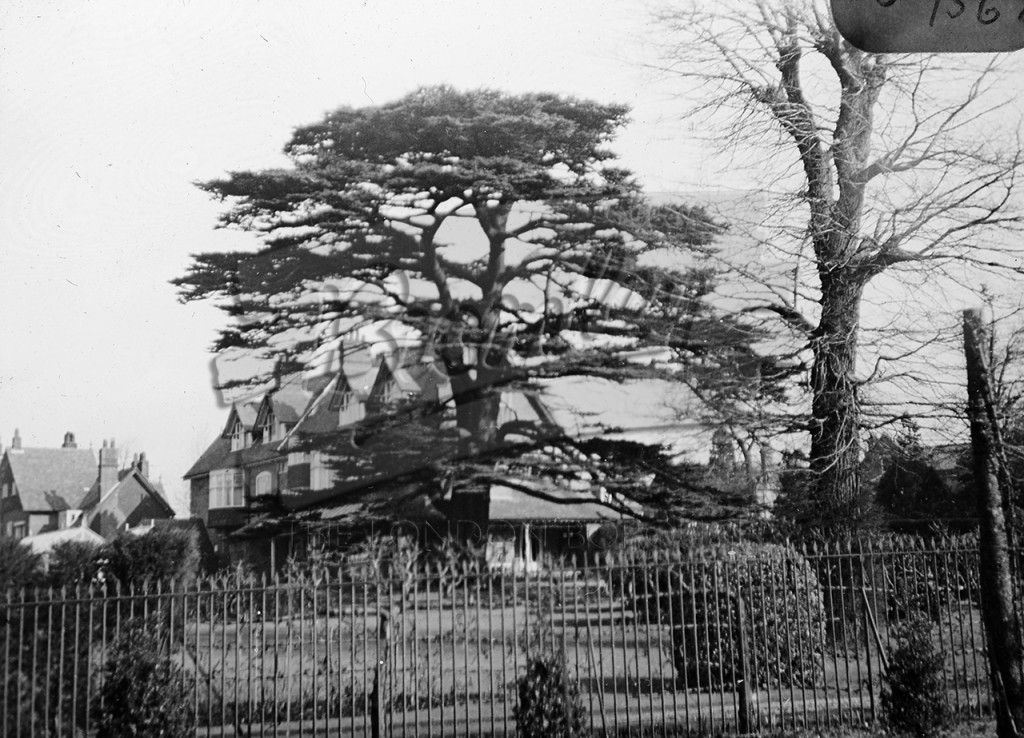 Wickham Road, Beckenham, c.1946