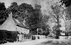 Bromley Road, Beckenham, Beckenham c.1900
