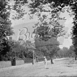 Wickham Road, Beckenham, Beckenham c.1900
