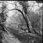 Beck River, Beckenham 1961