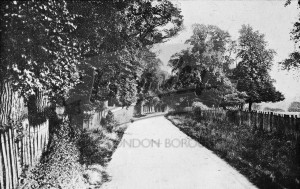 Hayes Lane, Beckenham c.1910