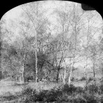 Hayes Common, Hayes, Hayes 1898