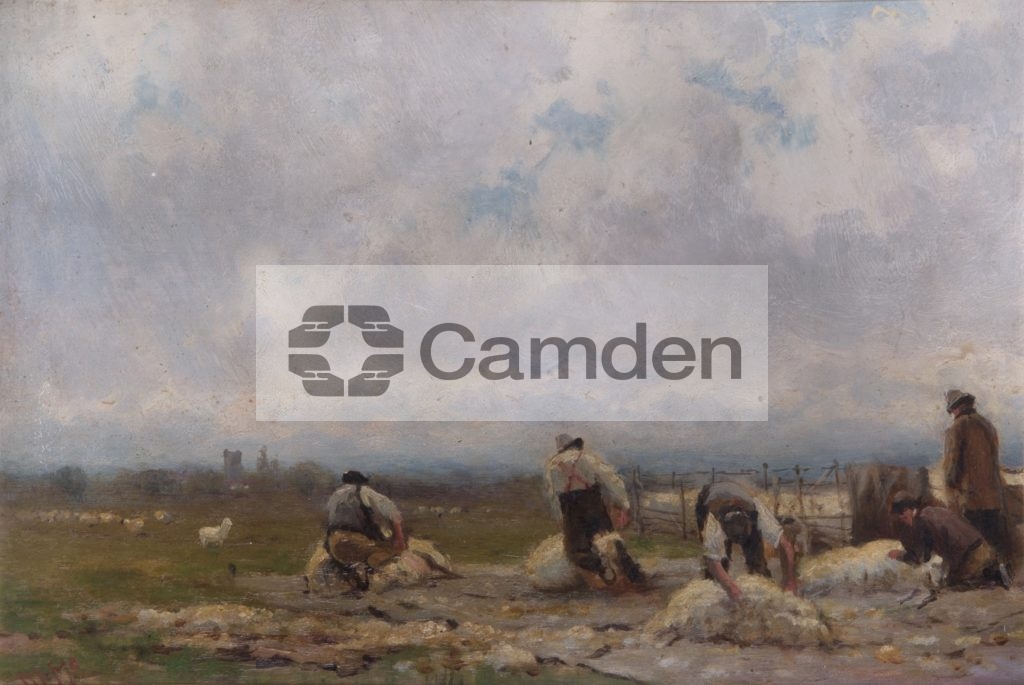 Sheep shearing, Lower Heath