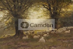 East Heath: sheep under trees