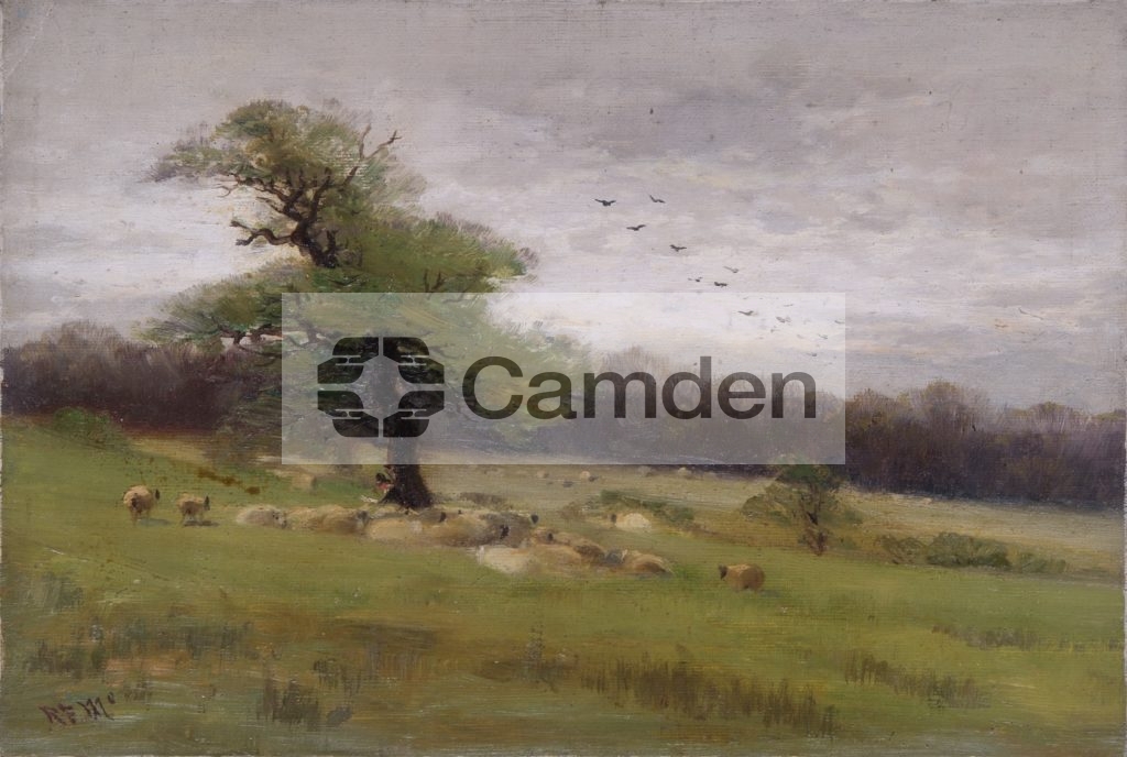 View towards Kenwood from the Heath