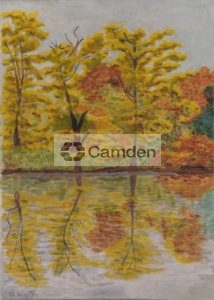 The Elms stock pond