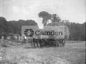 Kenwood: haycart and mules