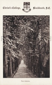 The Avenue, Christs College