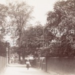 Vanbrugh Fields