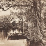 The Tarn