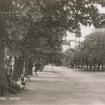 Greenwich Park