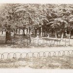 Royal Victoria Gardens