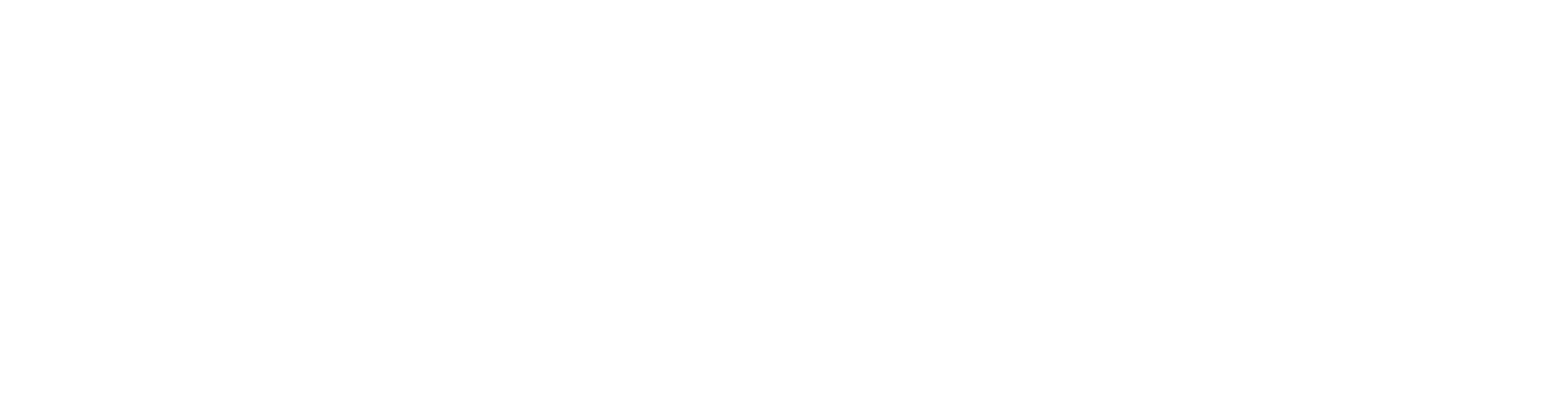 council logo