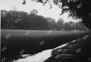 Victoria Park, lawns and trees, 1957.