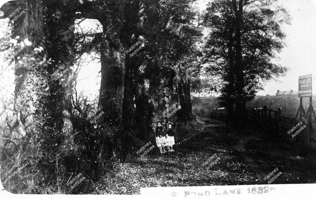 Pond Lane (now Millfields Road), east end, looking west towards Clapton, c.1882