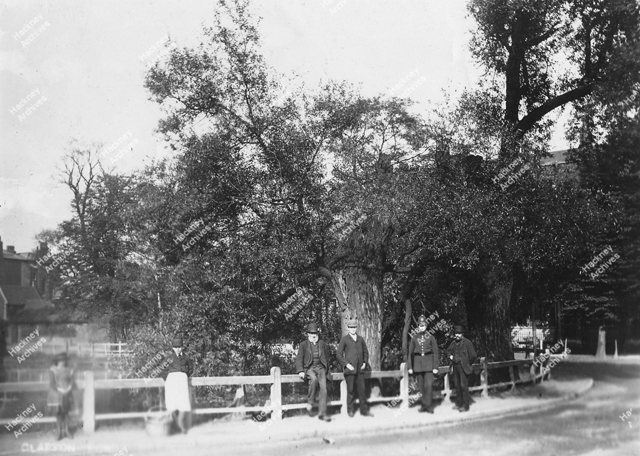 Clapton Pond and bridge, showing part of houses opposite, on west side