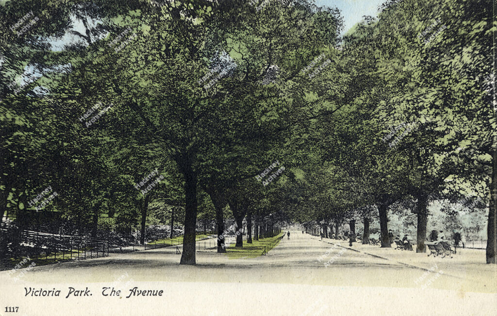 The Avenue, Victoria Park, c.1900.