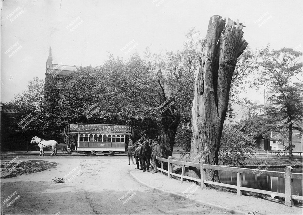 Clapton Pond, Lower Clapton Road. Includes old tree and horse drawn tram bus, c.1866.