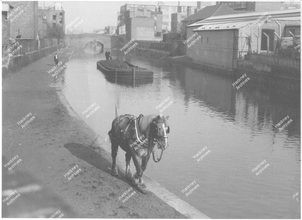 Regents Canal, southern border of the borough, with horse pulling barge, 1950.