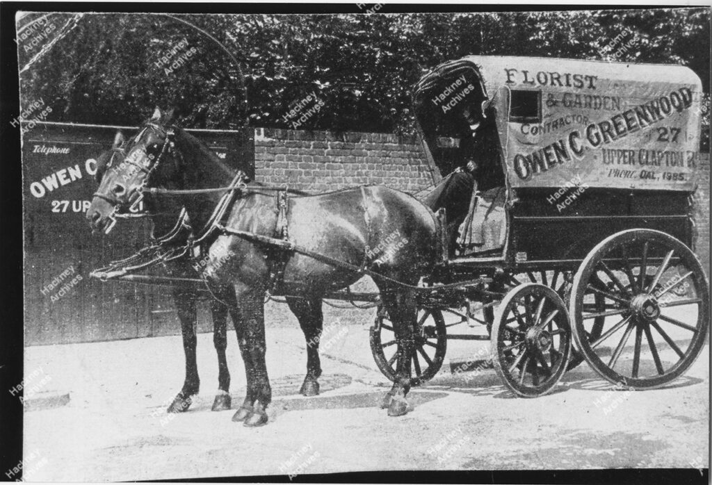 Owen C. Greenwood, Florist, Upper Clapton Road, Hackney. Horse and cart, c.1910.