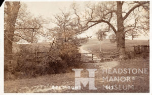 Belmont Common