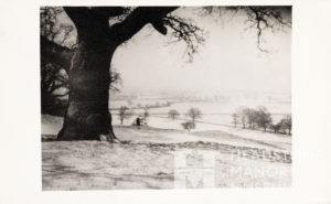 Belmont