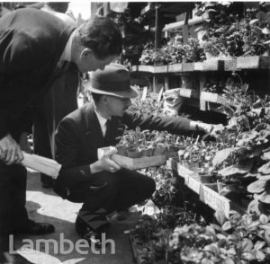 LOWER MARSH MARKET, WATERLOO