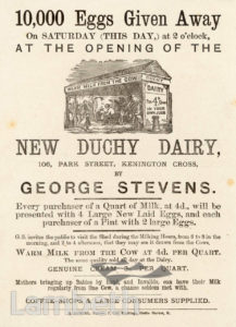 NEW DUCHY DAIRY, PARK STREET, KENNINGTON : ADVERTISEMENT