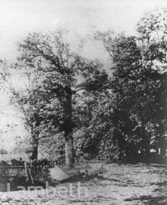 CROXTED LANE (NOW CROXTED ROAD), TULSE HILL