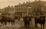 CLAPHAM PARK RO...