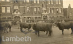 CLAPHAM PARK RO...