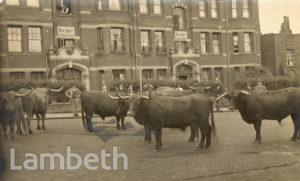 CLAPHAM PARK ROAD, CLAPHAM