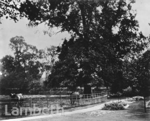 CAVENDISH HOUSE, CLAPHAM COMMON SOUTH SIDE