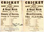 SURREY CRICKET ...
