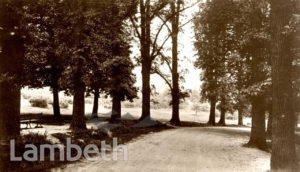 STREATHAM COMMON