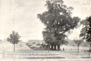 STREATHAM COMMON
