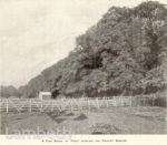 BROCKWELL PARK,...
