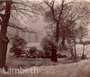 POND, CROXTED LANE, WEST DULWICH