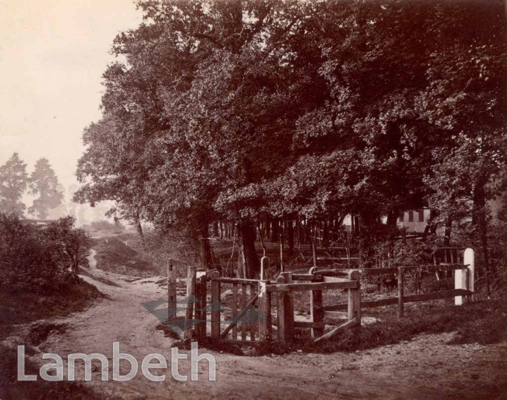‘KISSING GATE’, CROXTED LANE, WEST DULWICH