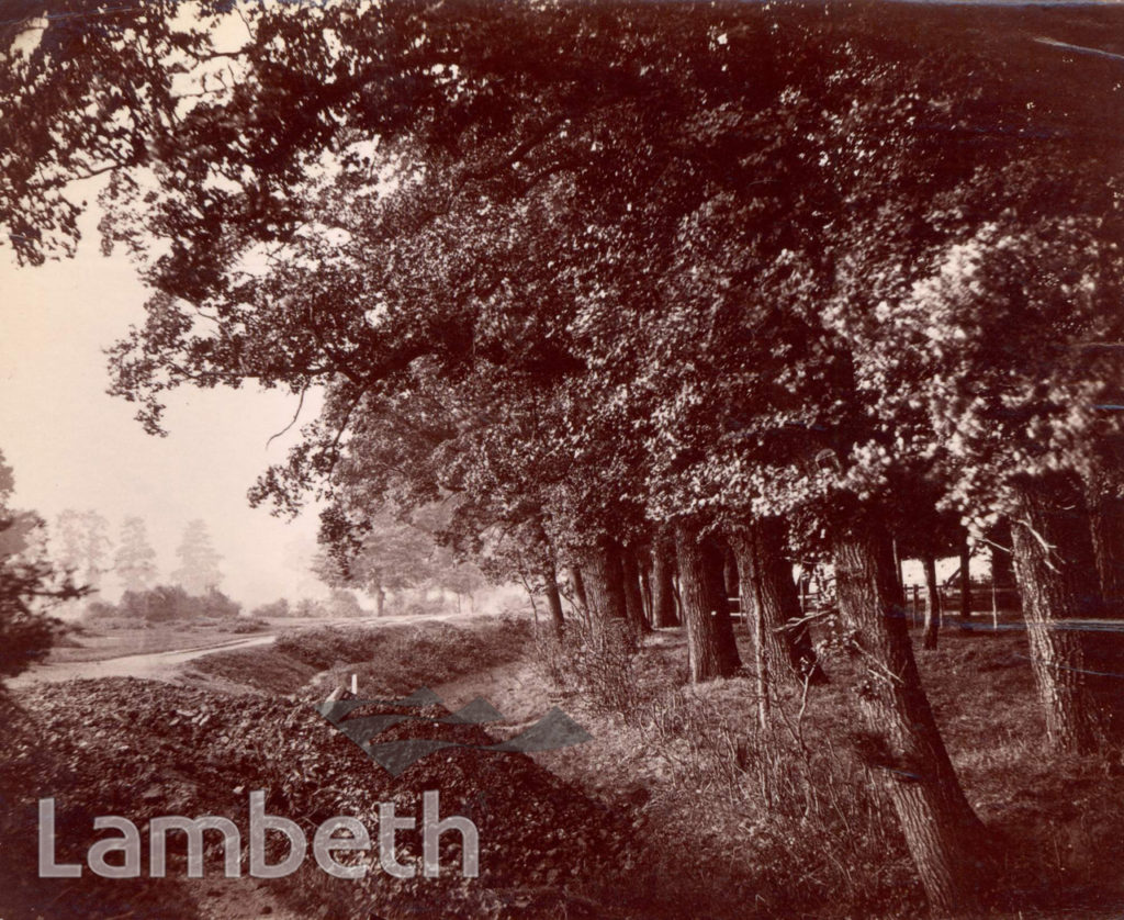 CROXTED LANE, WEST DULWICH