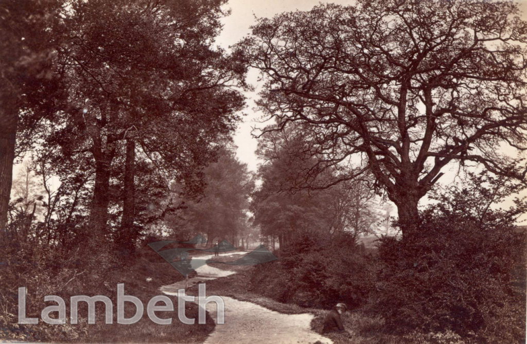 CROXTED LANE, WEST DULWICH